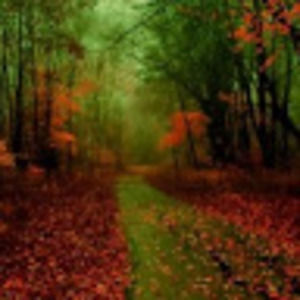 Meet your Posher, Janice